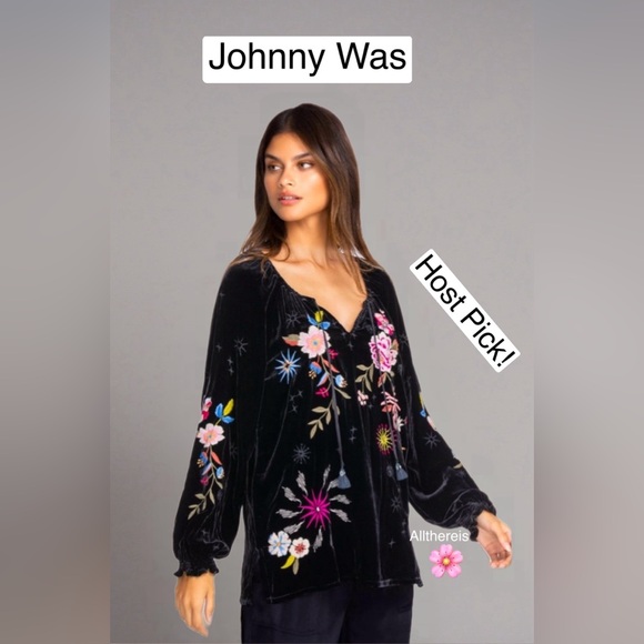 HP๐ JohnnyWas Velvet top  ๐บ๐ธ - Picture 7 of 16